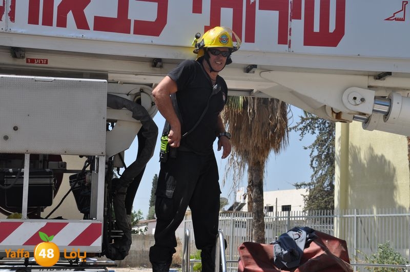 cat lud 910 (24).JPG